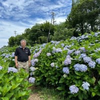 今朝は屋上高架水槽交換作業・露天風呂鉄平石工事・鳥取回転寿司北海道へ