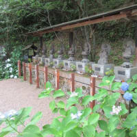 関西花の寺２５ゕ寺　第5日目　まずは　第1番札所　観音寺