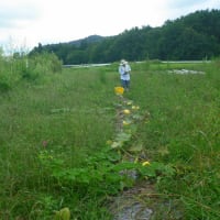 関西から縁☆農の友、来園！