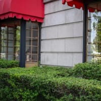 日本大通り〜山下公園〜中華街