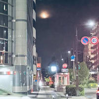 泉の花火