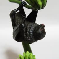 ネイチャーテクニカラー　オガサワラオオコウモリ