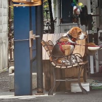 最近のこの１枚まとめ。