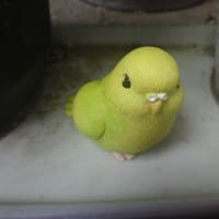 ６月・水無月・心の健康