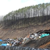 秋も来ちゃった北海道　最終編