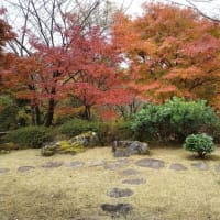 県立秦野戸川公園