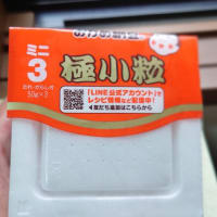 雨上がりの長井市です