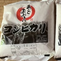 フジオフード（2752）から優待品が届きました