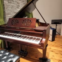 瓢箪から駒。フィールドのノクターン