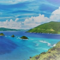 Vol.87 奄美郷土研究会との出会い