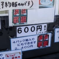生まれて初めてのいちご狩り🍓