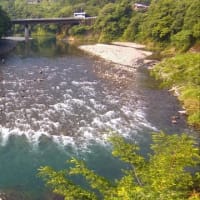 今日の那賀川上流