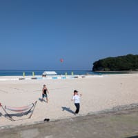 フィニッシュ白浜大会15