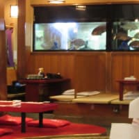 両国のちゃんこ屋さんにて