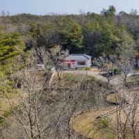 サツキとメイの家：展望台から臨む