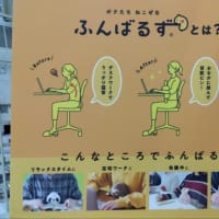 ふんばるずとティッシュケース