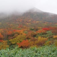 「磐梯山」は紅葉真っ盛り