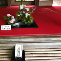 佐賀　九年庵
