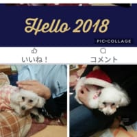 み～つけた