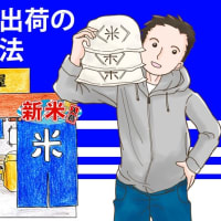 【助ネコ店長】複数口送り状を活用し、便利でお得にECサイトを運営する方法