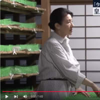 6月９日～１５日　天皇ご一家ご動静