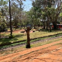 南インドの旅（その65）；鉄道博物館