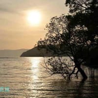 琵琶湖の夕日続き