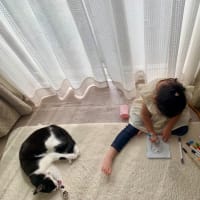 今日のユキちゃん