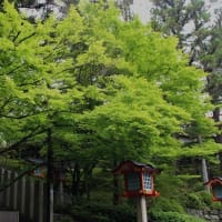 新緑の霊山寺