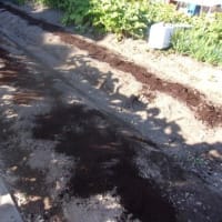 トラクターが使えないので