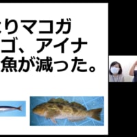 オンラインイベント「大阪湾の生きものたちのいま・むかし～海の中も温暖化！？～」を開催しました！