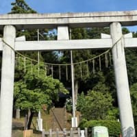 モカと紫陽花