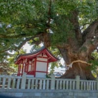 空海という天才はいかにして成立したか！　その謎に迫る　第一章