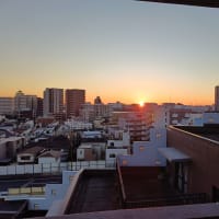 初日の出を見に