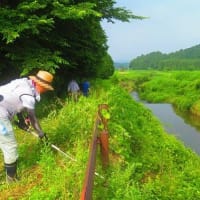 びわ湖を美しくする運動