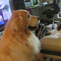 週末のレストランは当日予約は無理だった件