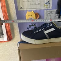ちょっと忙しいので明日以降にアナウンスしますが特価品です。
