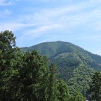 イソツネ山（多摩百８６）