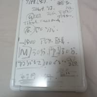 今日の記録