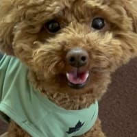 雨でテニスはお休み、疲れが出る