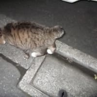 それから