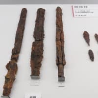 上野の国立科学博物館に「古代DNA　日本人のきた道」を観に行った　　　その３/全３回