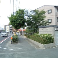 岡山市北区 賃貸 ワンルーム 一人暮らし インターネット無料  駐車場