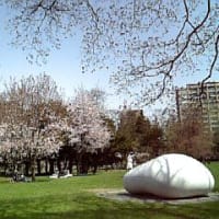 桜と知事公館