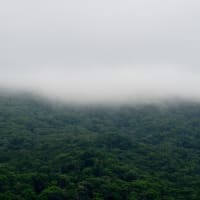 2025.06.27(金)AM06:54の藻岩山・平和祈念塔・三角山・円山