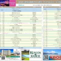 真冬の常夏アロハ祭り　チラシ完成しました！