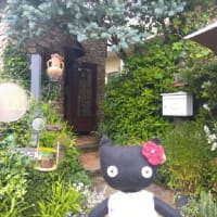 紫陽花まつり と 小さなカフェ