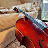 音と人のコラボな生活＜チェロとしろップ＞