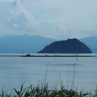 初夏の湖北