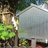 変貌進行中の大阪梅田